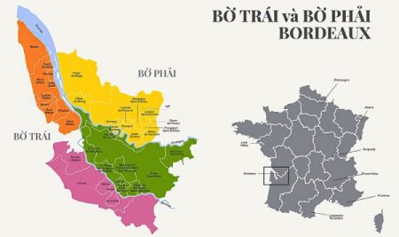 Khám phá sự khác biệt giữa Bờ Trái và Bờ Phải Bordeaux